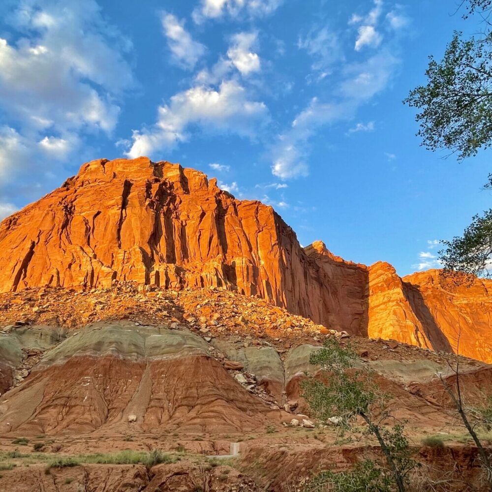 red cliffs of capitol reef with golden light on them
